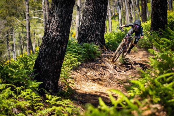 Kategorie Mountainbikes